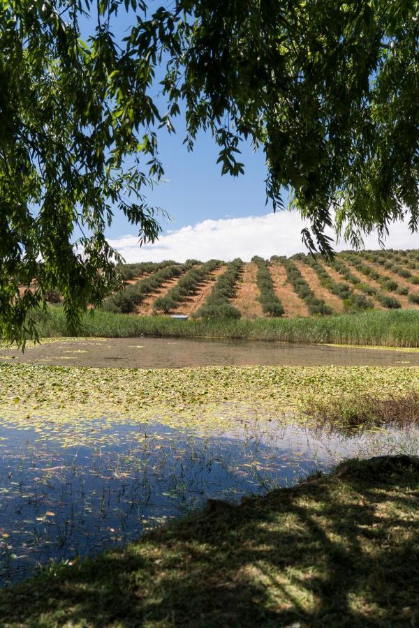 Вилла Kleinkloof Farm Piketberg Экстерьер фото